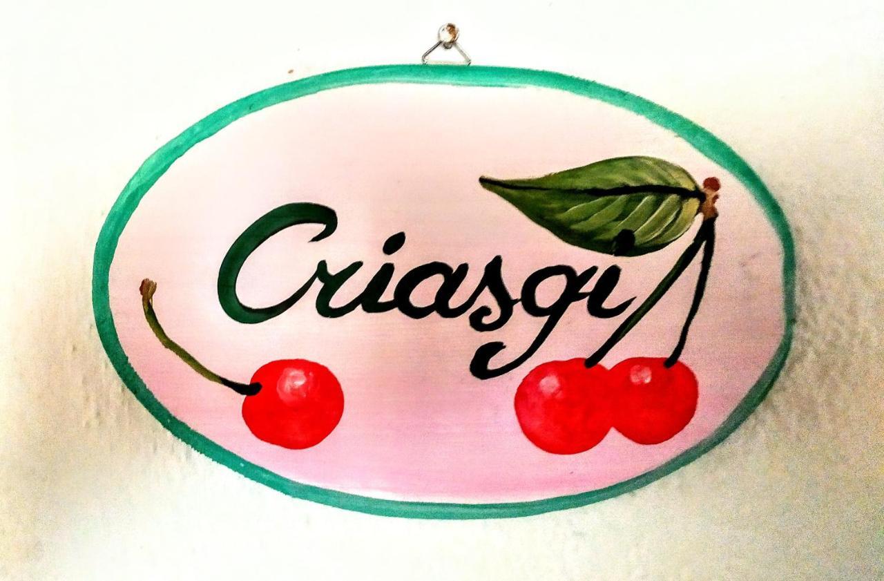 Gallura Experiences Li Criasgi Aggius Exteriér fotografie